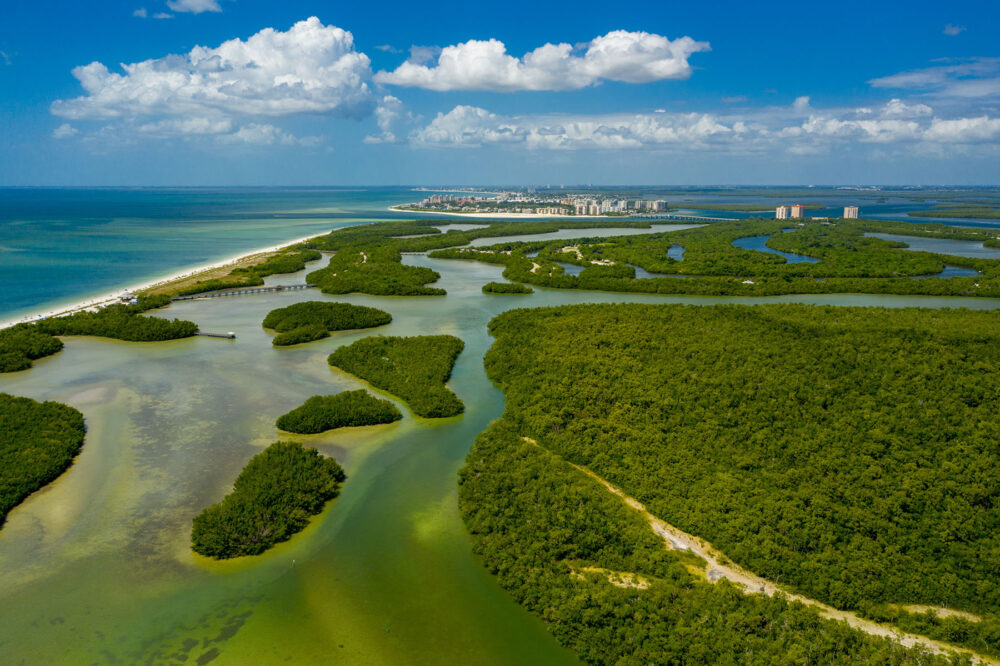 Fine Magazine - Surrounded by Preserves and Coastal Wildlife